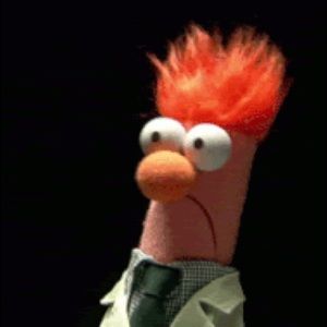 Meet your Posher, Dan